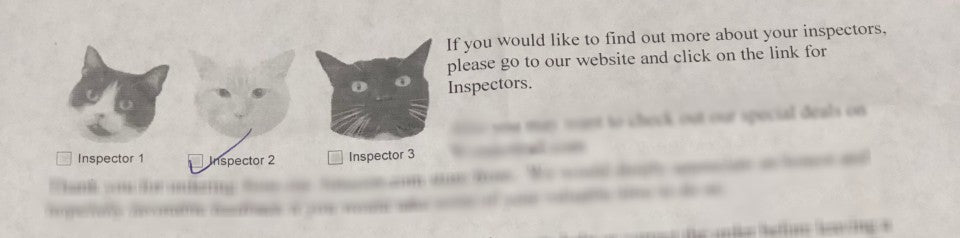 Pictures of three cats with a checkbox, a title of Inspector 1, 2 or 3 respectively, and some details on how to learn more about said inspectors