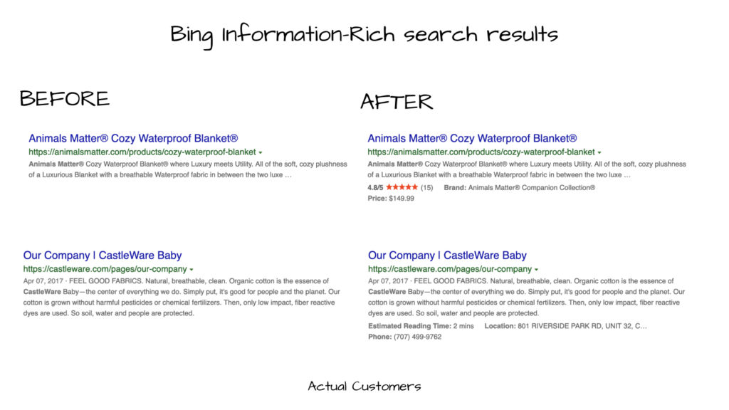 Example Bing Information-Rich results from actual customers